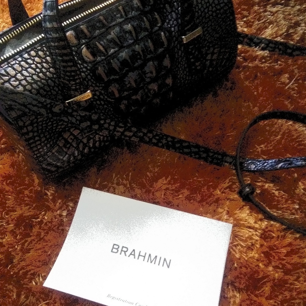 Free shipping Brahmin handbag - Picture 3 of 5